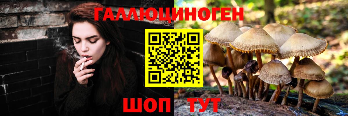 Галлюциногенные грибы мицелий Астрахань