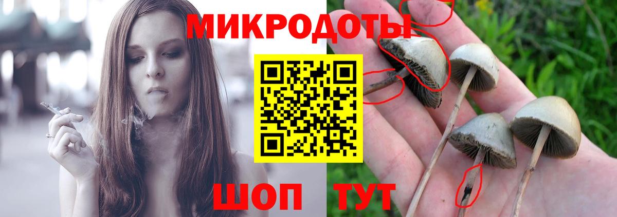 Астрахань  Галлюциногенные грибы Magic Shrooms  Вход с VPN 